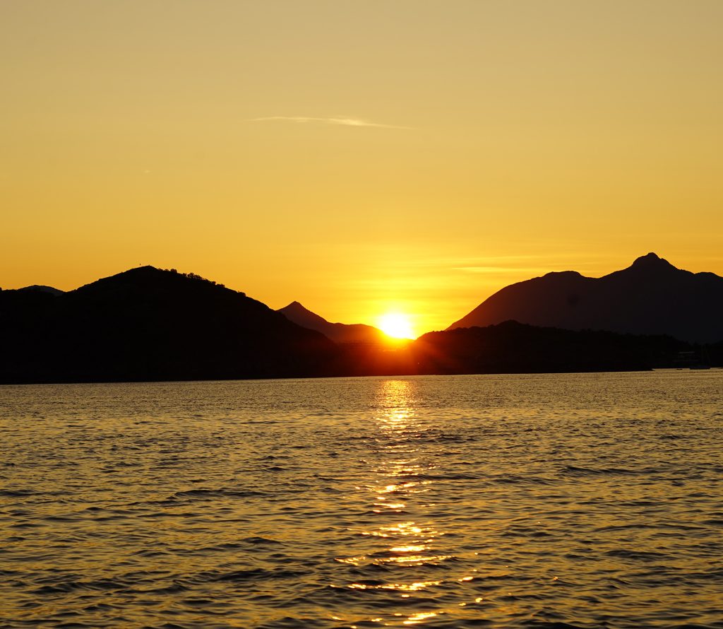 Midnight sun boat Safari Tour