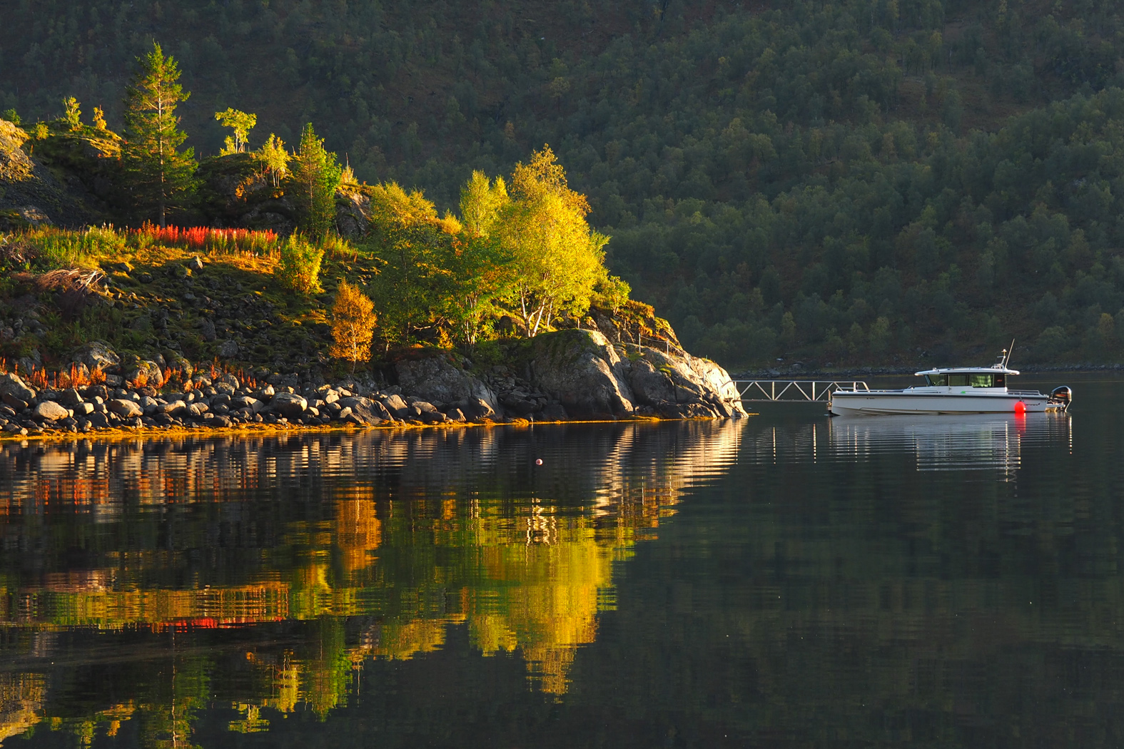 Trollfjord carrusel 2